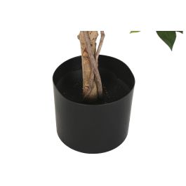 DKD Home Decor Ficus Artificial Verde 56 x 150 x 56 cm (2 Unidades) de Pp y Poliester