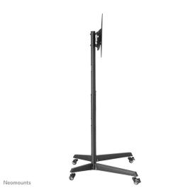 Neomounts FL50-540BL1 Carro Móvil Soporte de Suelo para Pantallas 37-70" Carga 50kg, Ajuste Altura 128.5-145cm, VESA 600x400 Negro