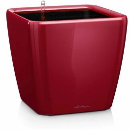 Maceta LECHUZA Quadro Premium LS 50 - juego completo, rojo escarlata brillante