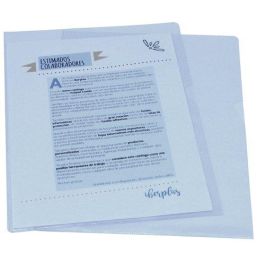 Dosier Angulo Recto Iberplas Pvc 300Μ Fº Cristal 30 unidades Precio: 36.79000039. SKU: B1BGE6PDXM