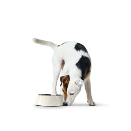 Hunter Comedero Melamina 1400 mL Blanco con Cuenco de Acero Inoxidable, Base Antideslizante y Apto para Lavavajillas