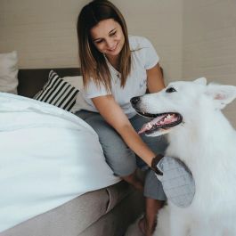 Hunter Guante de Cepillado y Masaje para Perros con Dispensador de Champú, Púas de Goma Suaves, Quita Pelo Muerto y de Muebles