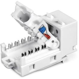 TRENDnet 10G, RJ-45, 22x40x17mm, 6g, White TRENDnet 10G, RJ-45, 22x40x17mm, 6g, White