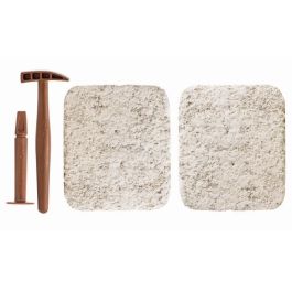 Clementoni Kit Arqueológico Archéo Ludic para cavar Fósiles T-Rex y Triceratops Fosforescentes Science & Jeu 8+ años