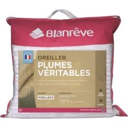 BLANREVE Juego de 2 almohadas de plumas - 60x60 cm BLANREVE Juego de 2 almohadas de plumas - 60x60 cm