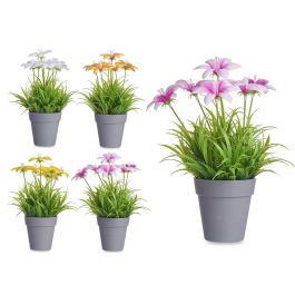 Ibergarden Maceta Flor Abierta Surtida, diámetro 8 cm para plantas, 14x21x14 cm, colores aleatorios (24 Unidades)
