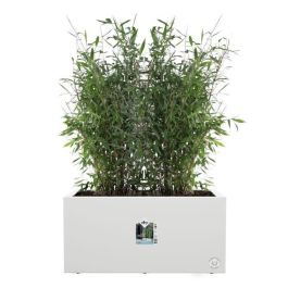 Jardinera Elho Vivo Next Long 80 - Blanco - L 78 x B 39 x H 38 cm - interior/exterior - 100% reciclado Jardinera Elho Vivo Next Long 80 - Blanco - L 78 x B 39 x H 38 cm - interior/exterior - 100% reciclado