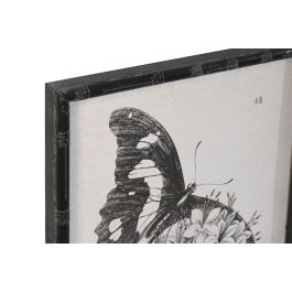 DKD Home Decor Cuadro de Pared Decoración Cottage Mariposas Negro, 60x40x2,8 cm - Set de 4 Unidades, Surtido Aleatorio con Marco de Abeto y Cristal