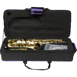 SML Saxofón Alto A420-Ii - Acabado Mate Cepillado con Cuerpo de Latón Lacado - Incluye Kit BG y Estuche