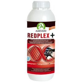 Audevard Redplex 1 L Estimulante Producción Células Sanguíneas Potencia y Resistencia Muscular Caballos Precio: 26.8900005. SKU: B15KE5LV92