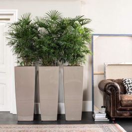 Lechuza LEC4008789182340 Jardinera Cubico Alto 40 Todo en Uno Brilliant Taupe Lechuza LEC4008789182340 Jardinera Cubico Alto 40 Todo en Uno Brilliant Taupe