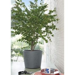Deroma 9HB1ZSZ217 Maceta Millennium R Autorriego con Ruedas 59 cm Gris Ceniza