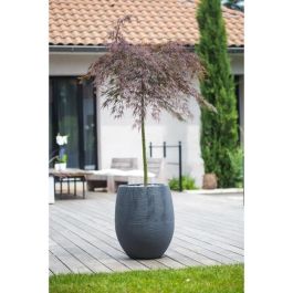 EDA 13737GANTPX12 Maceta Redonda Grafito Ø50cm, 53L, Gris Antracita