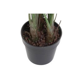 Planta DKD Home Decor 100 x 145 x 100 cm Planta DKD Home Decor 100 x 145 x 100 cm