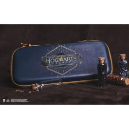 Nintendo Estuche de Transporte Delgado Hogwarts Legacy para Nintendo Switch y Switch OLED