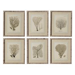 DKD Home Decor Cuadro Mediterraneo Beige Cristal Abeto 45 x 35 x 2.5 cm Precio: 147.49999946. SKU: B12KE95YAZ