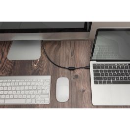 Digitus Cable Adaptador USB-C a DisplayPort 2.0m Negro 32.4Gbps Gen 2 (Referencia: USB C Adapterkabel Typ C -DP 32,4GB St/St 2.0m, sw)