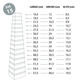 Set 15 Cajas Carton Dotty Versa 46X57CM (2 Unidades) Set 15 Cajas Carton Dotty Versa 46X57CM (2 Unidades)