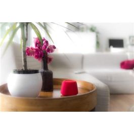 Elbe ALT-002-BT Altavoz Bluetooth Mini Rojo 2W Compatible con Smartphone y Tablet