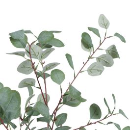 Planta Decorativa Polietileno Eucalipto 80 x 82 x 180 cm Planta Decorativa Polietileno Eucalipto 80 x 82 x 180 cm