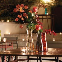 Bormioli Rocco Botella Cristal Ypsilon 1 L (6 Unidades) Transparente Vidrio