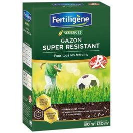 FERTILIGENE Super Resistente Grass All Terrain - 2 kg FERTILIGENE Super Resistente Grass All Terrain - 2 kg