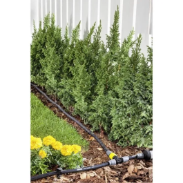 Karcher Conector 3 Vías Robusto Sistema de Clic