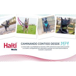 Collar para Perro Company of Animals Gris