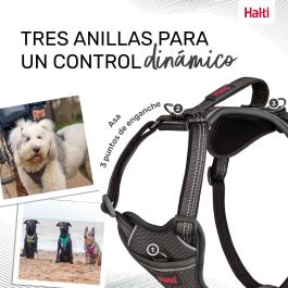 Halti Arnés Anatomy para Perro XL Gris, Cuerpo 78-115cm, Cuello 50-78cm - Acolchado Neopreno y Reflectante con Asa