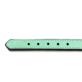 Collar Piel Acolchado 30 cm X 15 mm Verde Precio: 7.49999987. SKU: S6102418