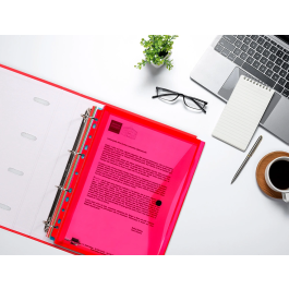 Liderpapel 36669 Carpeta Dossier Broche Polipropileno Din A4 Pack 5 Colores Surtidos Transparente Multitaladro