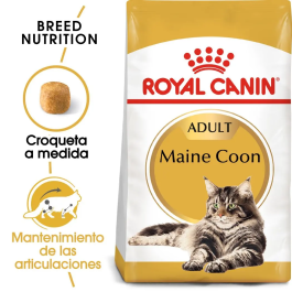 Royal Feline Adult Maine Coon 31 10 kg Precio: 110.4999995. SKU: B14EY7WT4D