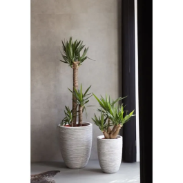 Capi Europe Maceta Nature Rib 36 x 47 cm Marfil KOFI782 424227