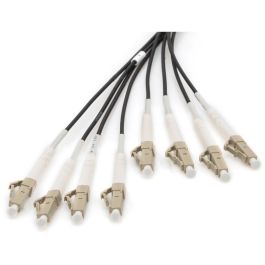Digitus Patchkabel LC/UPC Multimodo OM4 8 Fibras 50m U-DQ(ZN) BH - Cable de fibra óptica preconfeccionado
