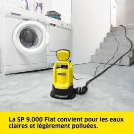 Karcher KAR4054278951669 SP 9,000 Flat Eau Claire