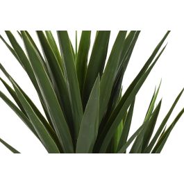 Planta DKD Home Decor Verde 80 x 155 x 80 cm (2 Unidades) Planta DKD Home Decor Verde 80 x 155 x 80 cm (2 Unidades)