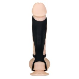 Funda para pene Gender X Negro Ø 3,7 cm Funda para pene Gender X Negro Ø 3,7 cm