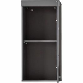 Trendteam TRE4251398961282 Mueble de baño alto AMANDA, 1 puerta, Gris
