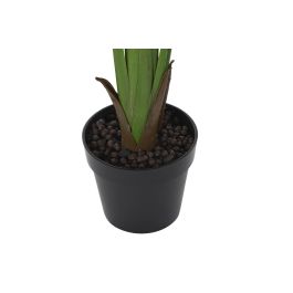 DKD Home Decor Árbol del viajero de PE Verde 60 x 180 x 60 cm (2 Unidades)