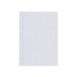Liderpapel Recambio A4 100 Hojas 75gr Milimetrado 2 mm Sin Margen 4 Taladros