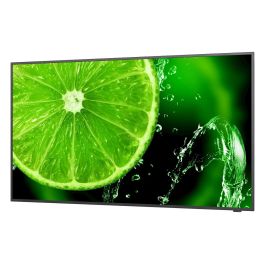 NEC E328-2 Pantalla Profesional de 32" LED LFD Full HD IPS 16/7 Señalización Digital
