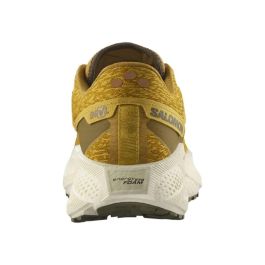 Zapatillas de Running para Adultos Salomon Aero Glide 3 Grvl Dorado 31