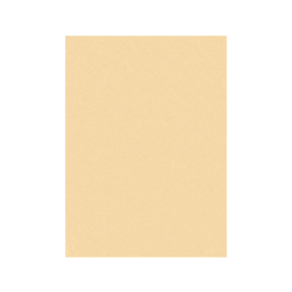 Liderpapel Fieltro 50x70cm Color Carne 160g/m2