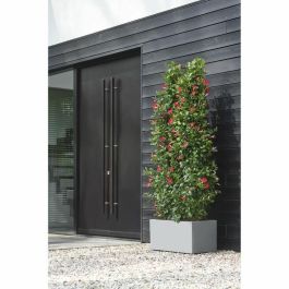 Elho ELH8711904499129 Jardinera Vivo Next Long 80, Maceta para Jardín/Terraza, Gris, L 78 x An 39 x Al 38 cm, Interior/Exterior, 100% Reciclada Elho ELH8711904499129 Jardinera Vivo Next Long 80, Maceta para Jardín/Terraza, Gris, L 78 x An 39 x Al 38 cm, Interior/Exterior, 100% Reciclada