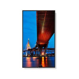 Monitor NEC 60006086 4K Ultra HD 65"