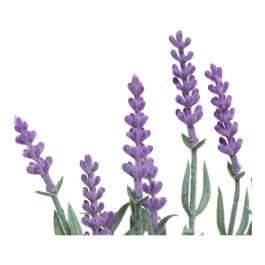 Jarrón vintage con lavanda, colores surtidos, ø13 x 32 cm