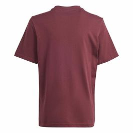 Camiseta de Manga Corta Adidas Gfx Folded