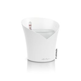 Maceta LECHUZA ORCHIDEA ALL-IN-ONE Blanco mate Precio: 58.2736. SKU: B16L92EMP7