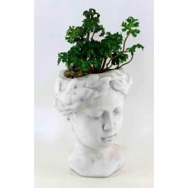 DKD Home Decor Planta Blanco Verde 13.2 x 27.5 x 13.7 cm Precio: 7.69000012. SKU: B1C9B9R8TP