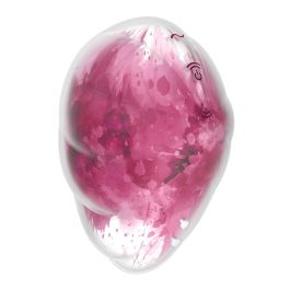 Succionador de Clítoris Satisfyer Cloud Dancer Rojo